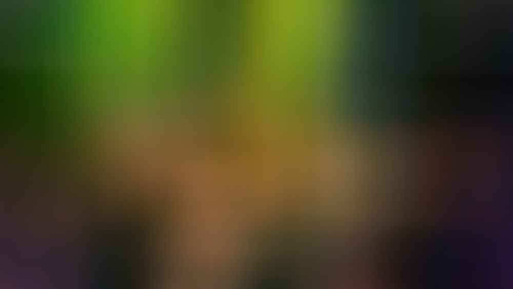 408482933 755193963315768 5339848021202326272 n